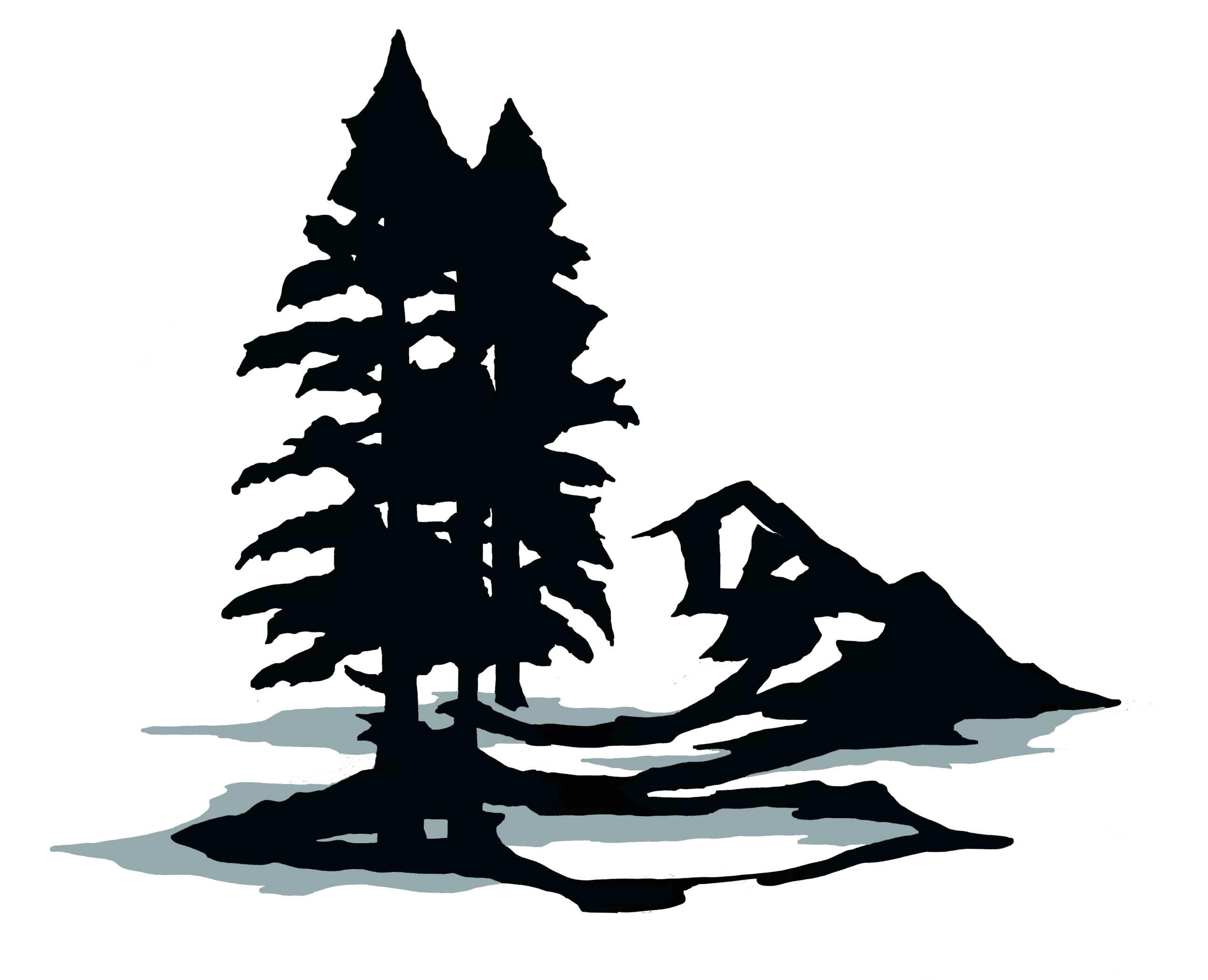 DANA-LUND-LOGO-COLOR.webp