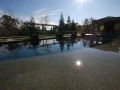 Danville Swimming Pool Design 2