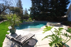 Pool and Concrete Walnut Creek -ws